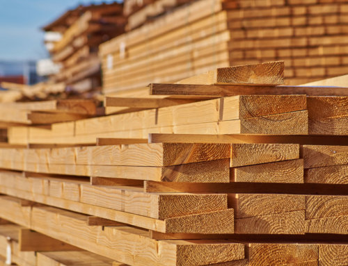 Bauen mit Holz und Lehm