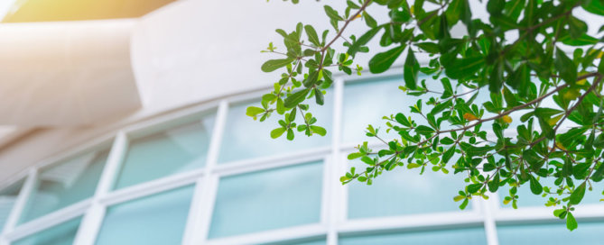 Nachhaltigkeit am Bau - Glasfassade mit Blätter